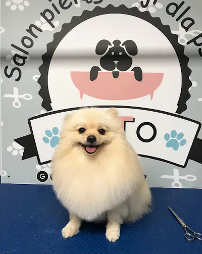 Salon pielęgnacji dla psów TiTo